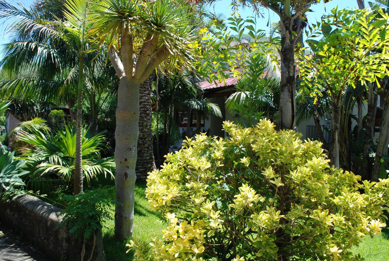 Residence Villa Cristina Forio di Ischia Extérieur photo